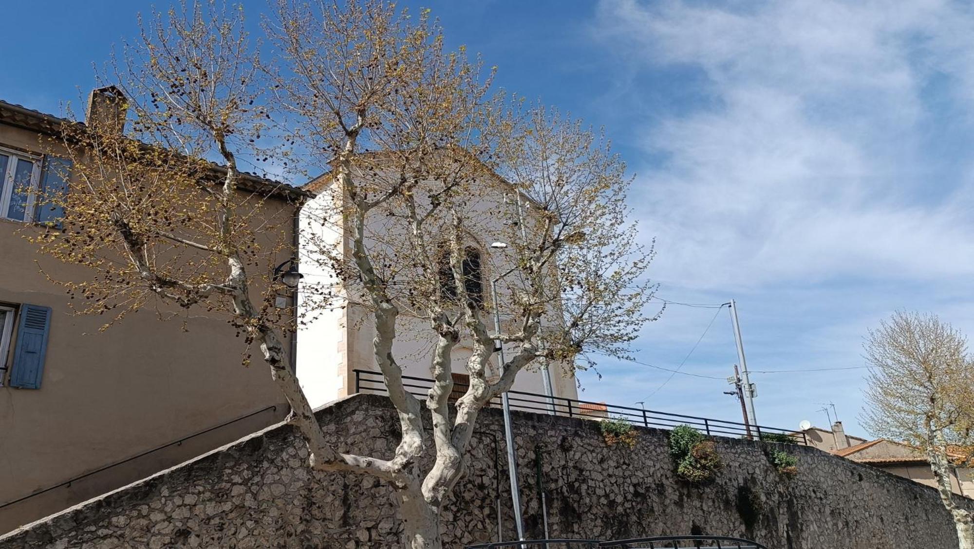 Appartement Pin * Spacieux * Linge Hotelier * Fibre * Confort *